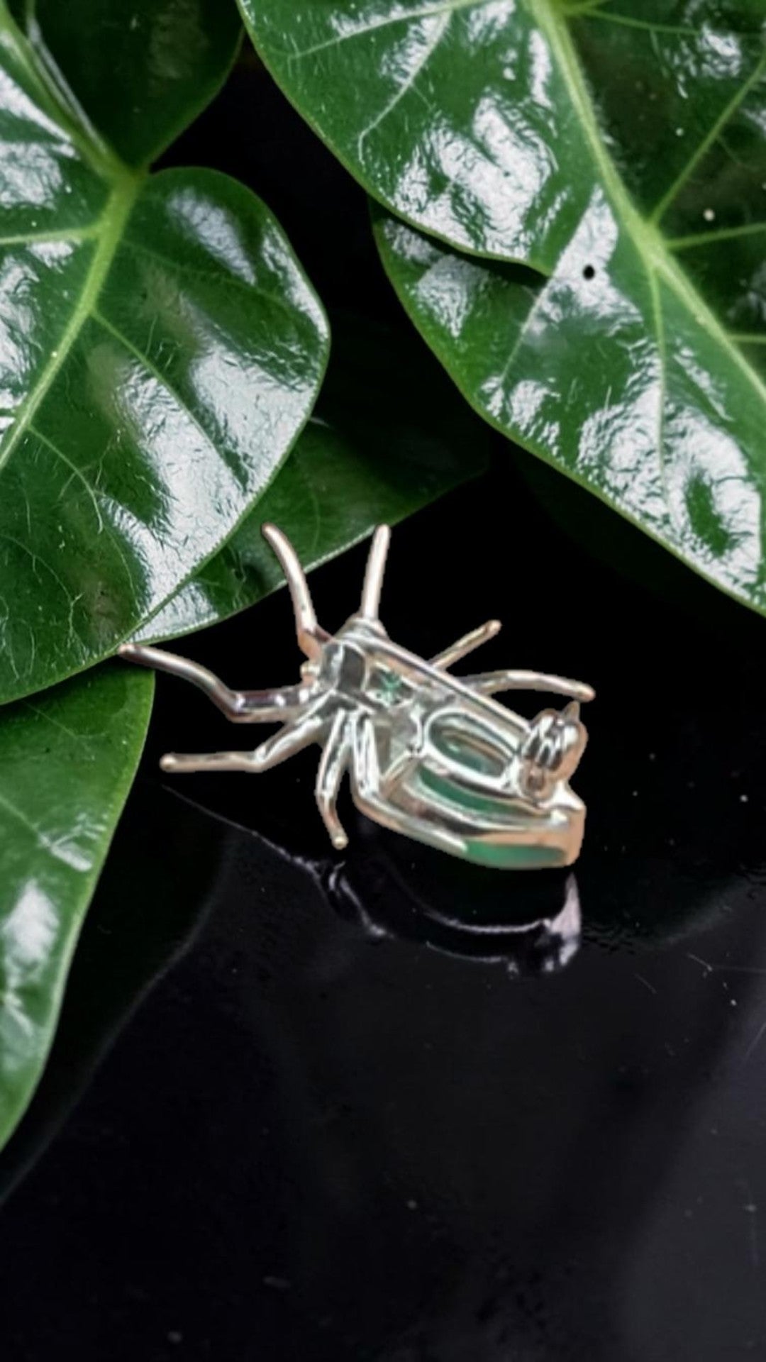 Spider Natural Agate Gemstone Brooch Plated in Rhodium